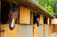 free Woodsetton stable construction quotes